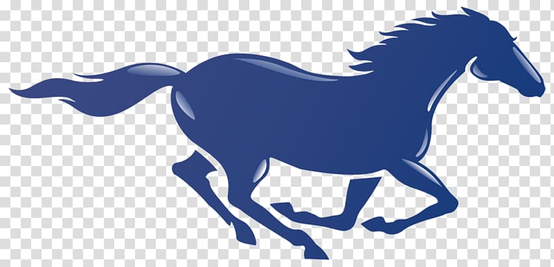 San Dieguito Academy La Costa Canyon High School Mustang Canyon Crest Academy Junior varsity team, mustang transparent background PNG clipart