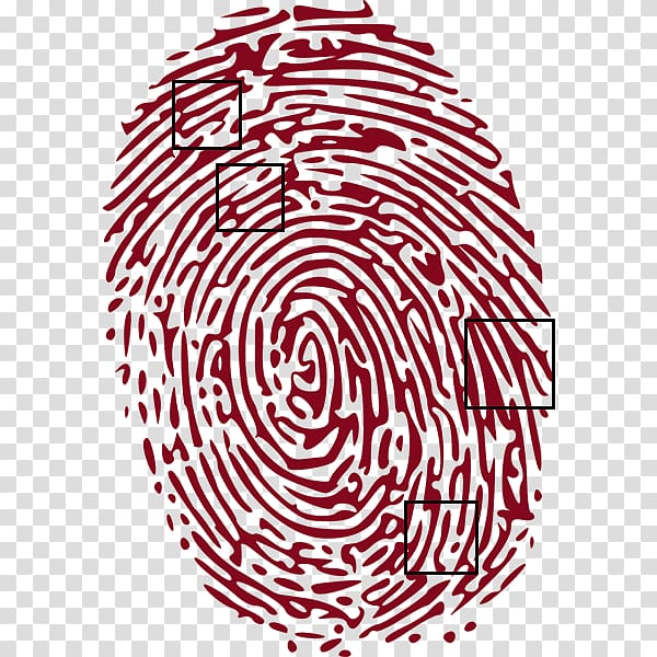 Forensic science Fingerprint Crime , others transparent background PNG clipart