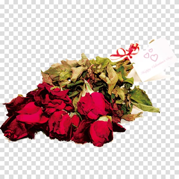 Garden roses Wilting 69 Ways to Get a Job in Advertising Cut flowers, rose transparent background PNG clipart