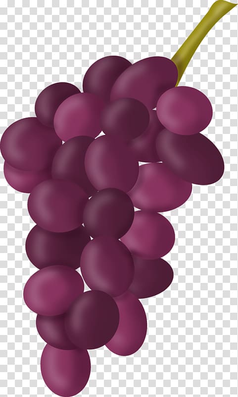 Common Grape Vine Grape seed extract , grape transparent background PNG clipart