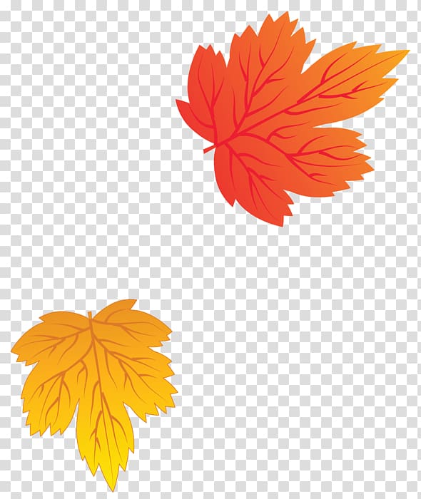 Leaf Autumn Leaves , Leaf transparent background PNG clipart