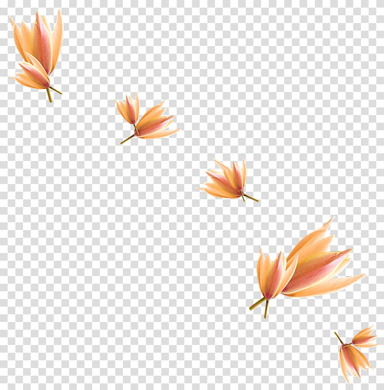 , others transparent background PNG clipart | HiClipart