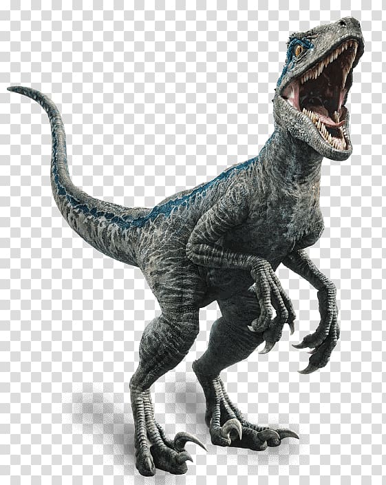 gray dinosaur, Velociraptor Owen Baryonyx Simon Masrani Dinosaur, Jurassic World: Fallen Kingdom transparent background PNG clipart