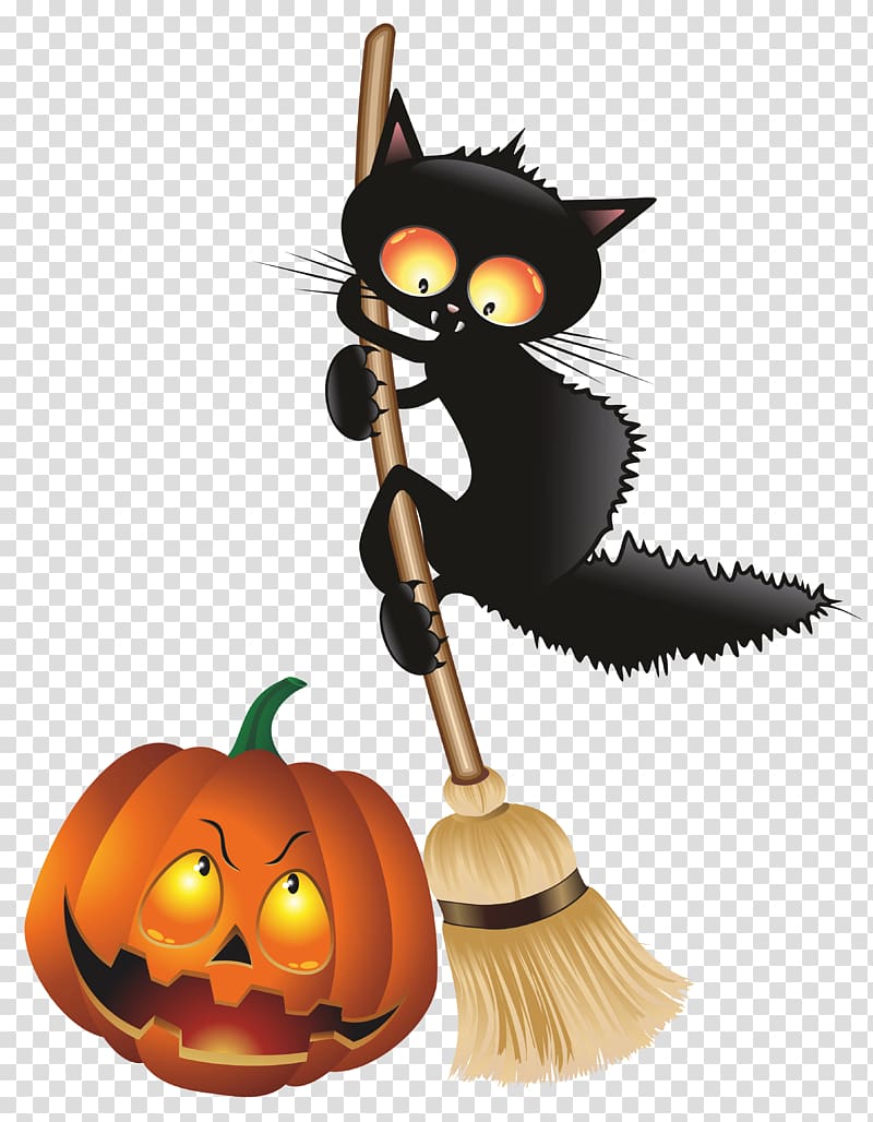 Black cat Halloween Kitten , Witch Cat transparent background PNG clipart