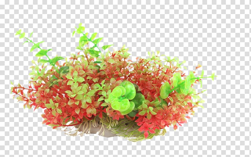 Aquarium Goldfish & Tropical Fish Icon, Red, green and purple plants prospects grass simulation transparent background PNG clipart