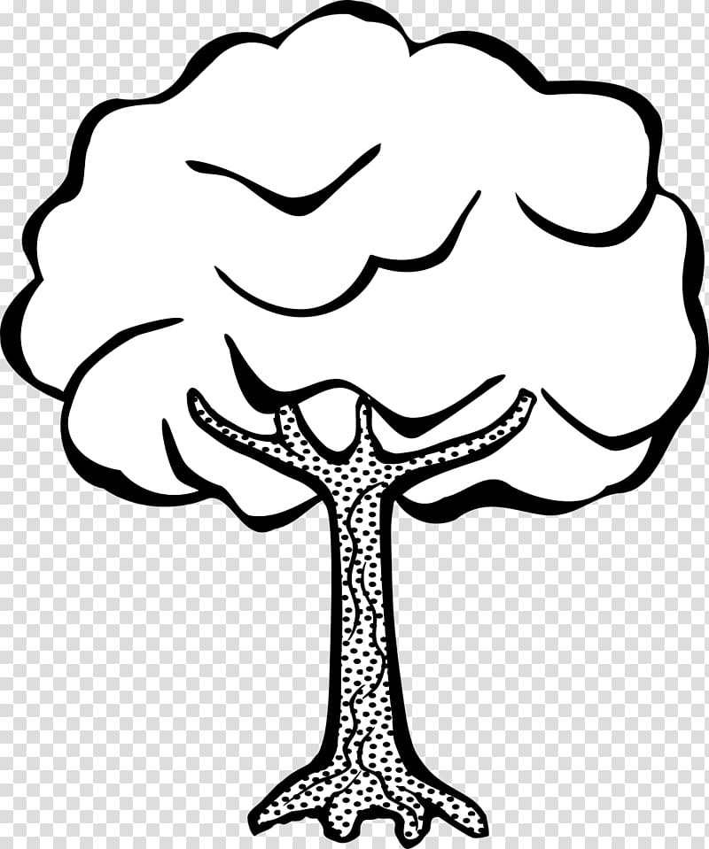 Drawing Line art Tree , coconut tree transparent background PNG clipart