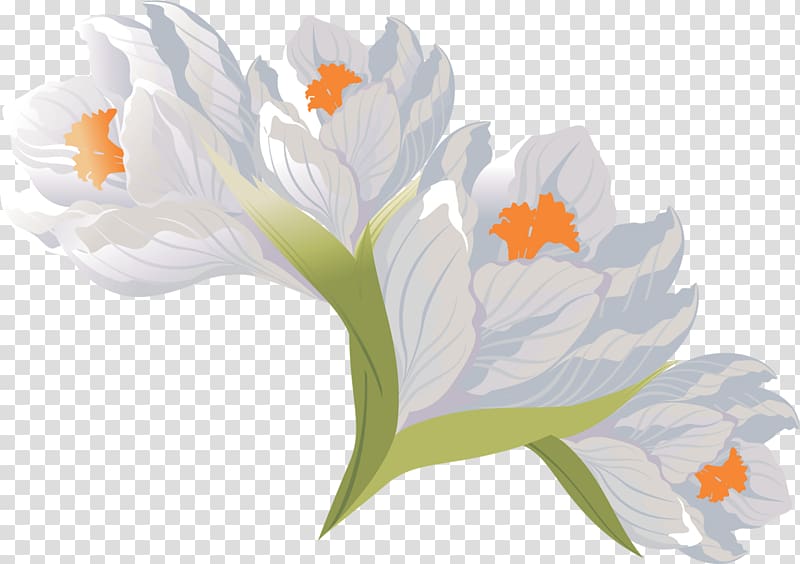 Flower Crocus Scape, crocus transparent background PNG clipart