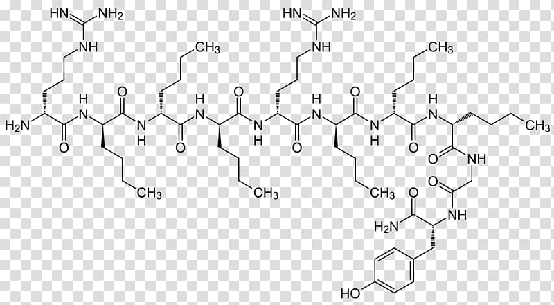Endorphins alpha-Endorphin beta-Endorphin Peptide Neurotransmitter, Oxytocin transparent background PNG clipart