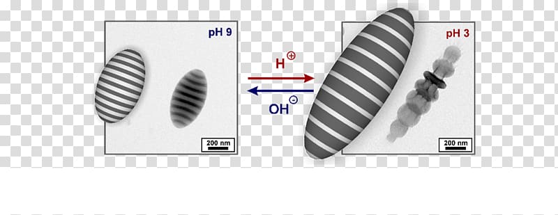 Interface and colloid science Self-assembly Particle Chemistry, dynamic particle transparent background PNG clipart