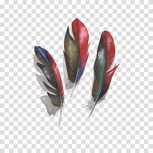 Amazon parrot Bird Feather, Red and black feathers transparent background PNG clipart