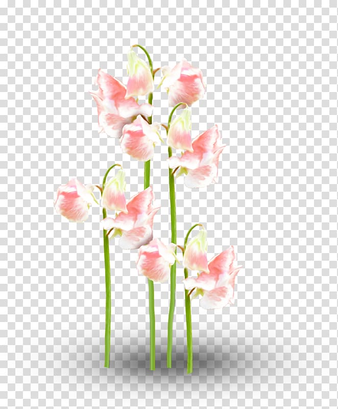 Floral design Flower Motif Pattern, Beautiful floral patterns transparent background PNG clipart