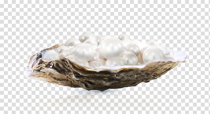 Clam Pearl Vecteur, Clam pearls transparent background PNG clipart