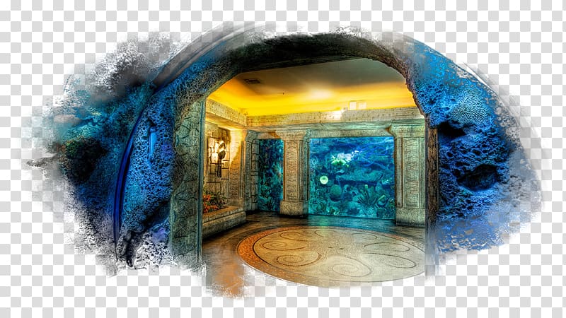 Shark Reef at Mandalay Bay The Mirage Cashman Rio All Suite Hotel and Casino, hotel transparent background PNG clipart