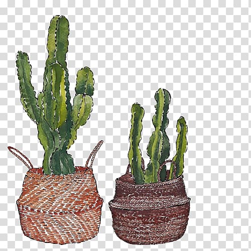 two green cactus plants , Cactaceae Painting Euclidean Paper, cactus transparent background PNG clipart