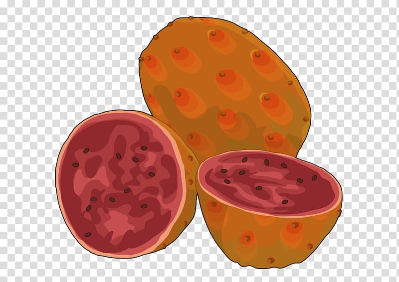 Fruit Food Drawing Tuna Barbary fig, tuna transparent background PNG clipart