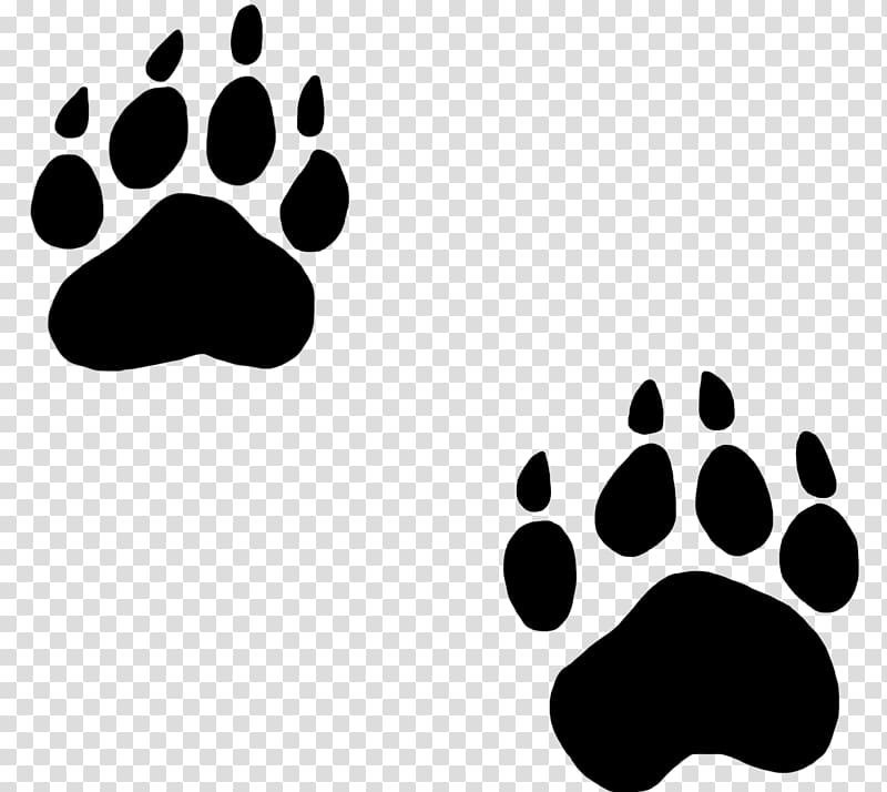 Bear Paw Dog Cat , Animal Footprints transparent background PNG clipart