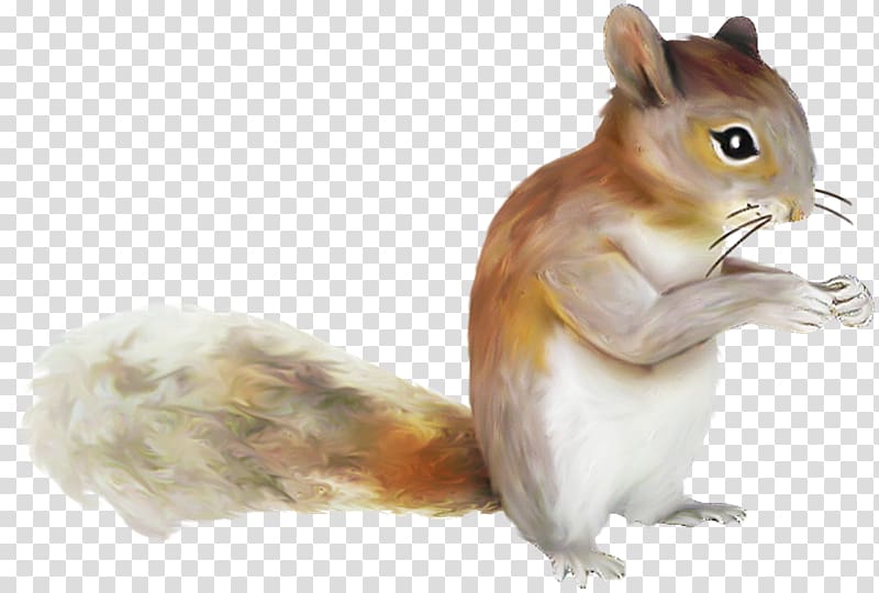 Chipmunk Squirrel Scape, ardilla transparent background PNG clipart