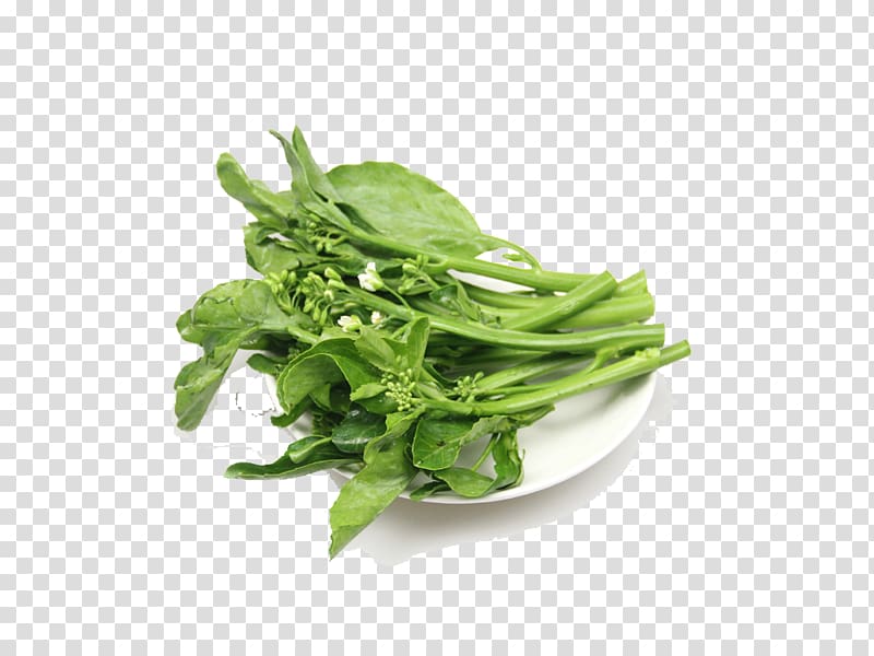 Vegetable Chinese broccoli Kale Food Spring greens, Panel mounted green kale transparent background PNG clipart