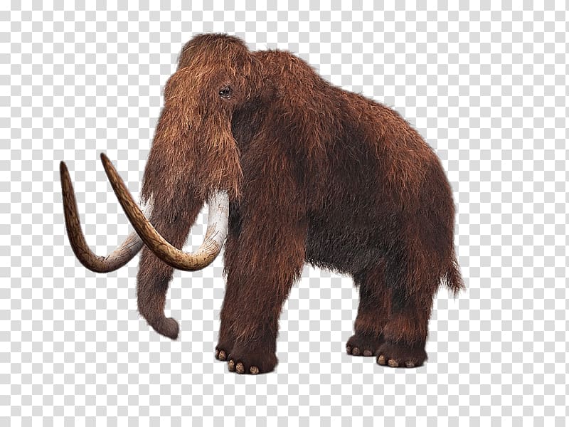 brown mammoth illustration, Wooly Mammoth transparent background PNG clipart