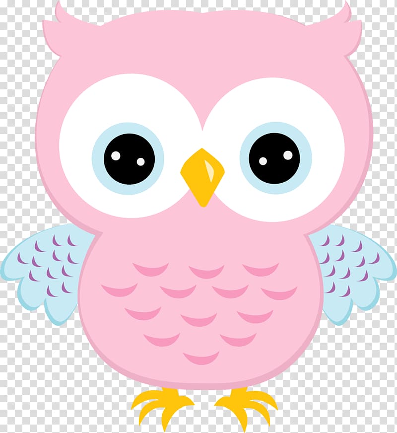 Little Owl Free , print poster transparent background PNG clipart