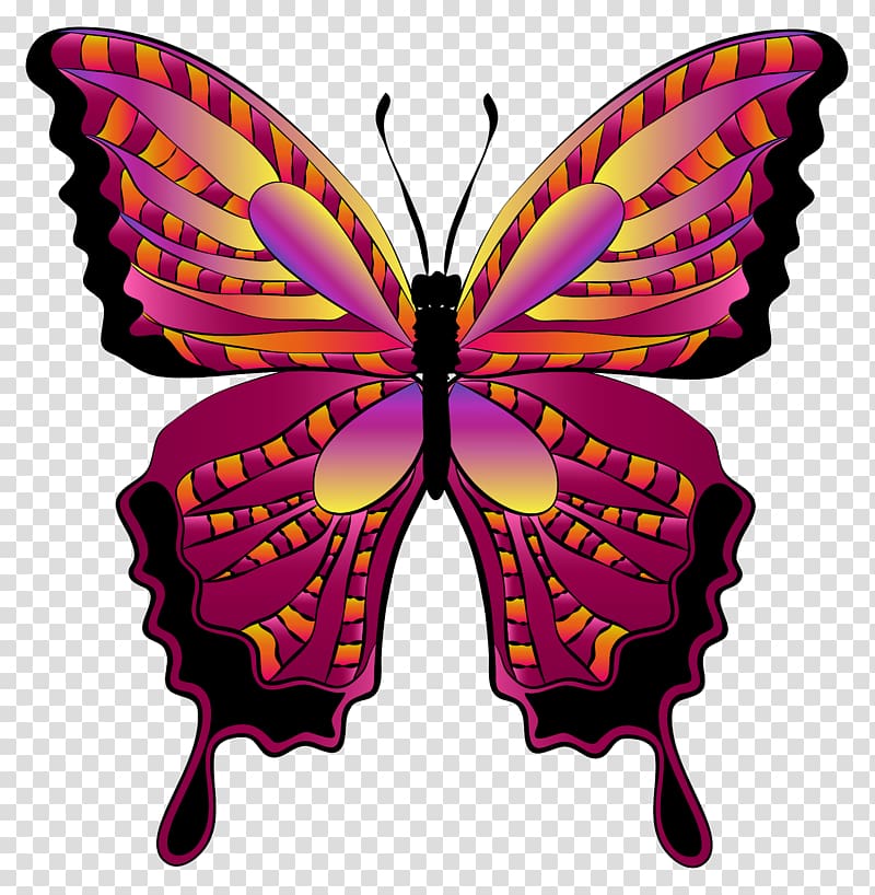 pink and orange butterfly , Butterfly , Red Butterfly transparent background PNG clipart