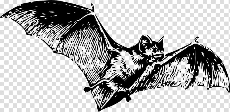 Large Bat Tattoo transparent background PNG clipart