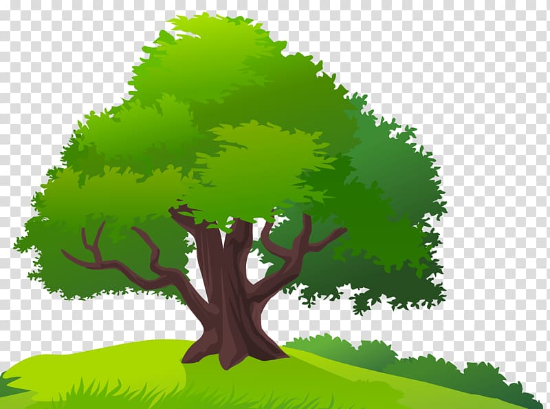green tree , Tree Lawn , Tree and Grass transparent background PNG clipart