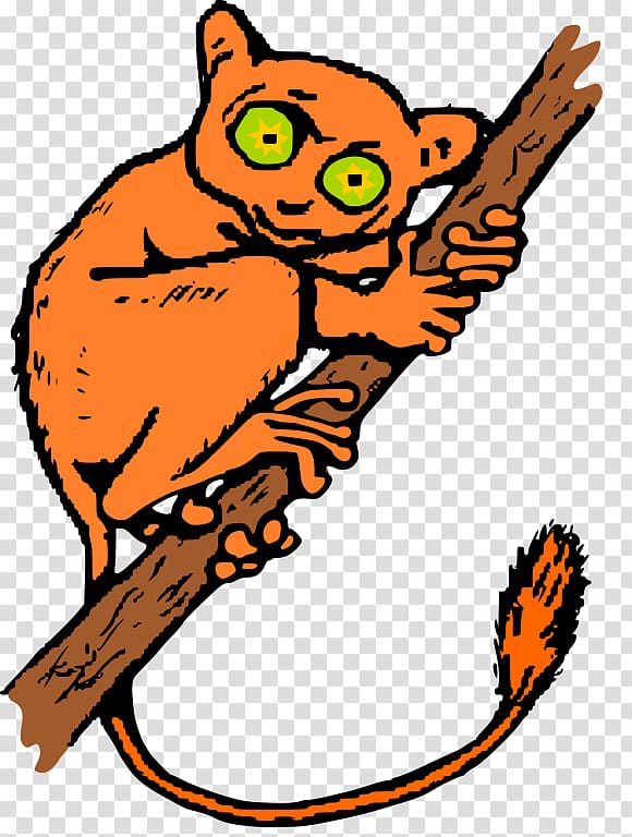 , tarsier transparent background PNG clipart