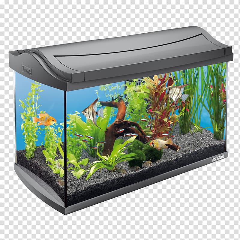 Aquarium Filters Tetra Tropical Aquarium Liter, aquarium drawing transparent background PNG clipart