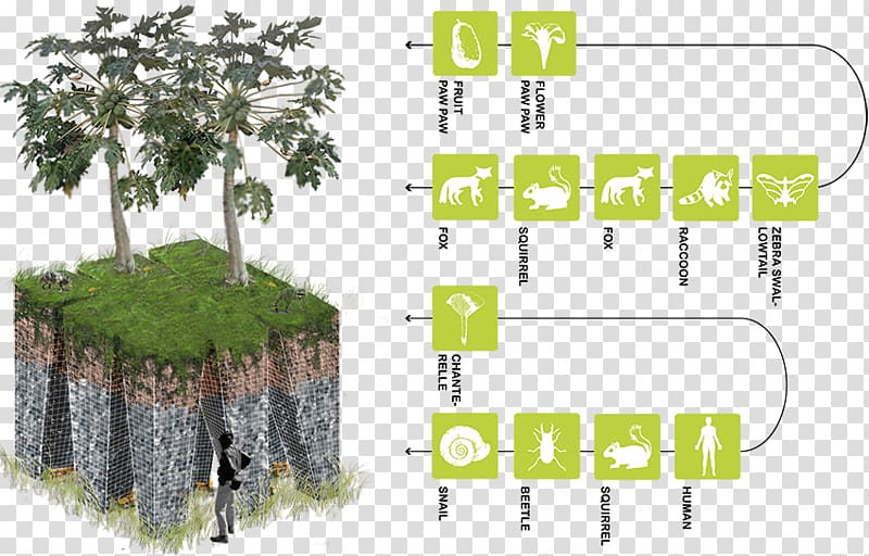 Anthropocene Natural environment Architecture Ecology Quaternary, natural environment transparent background PNG clipart