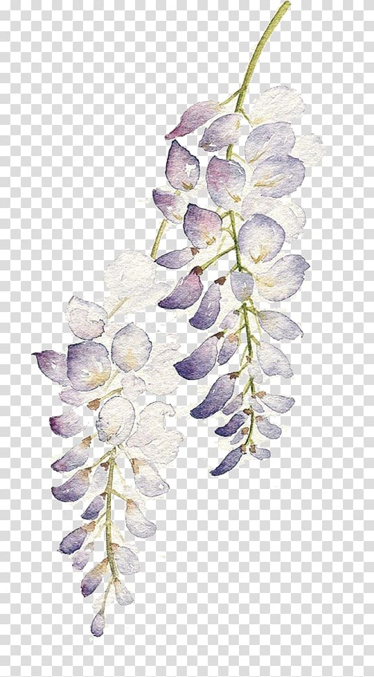 Watercolor: Flowers Watercolour Flowers Watercolor painting, Purple flower string, purple leaf plant transparent background PNG clipart