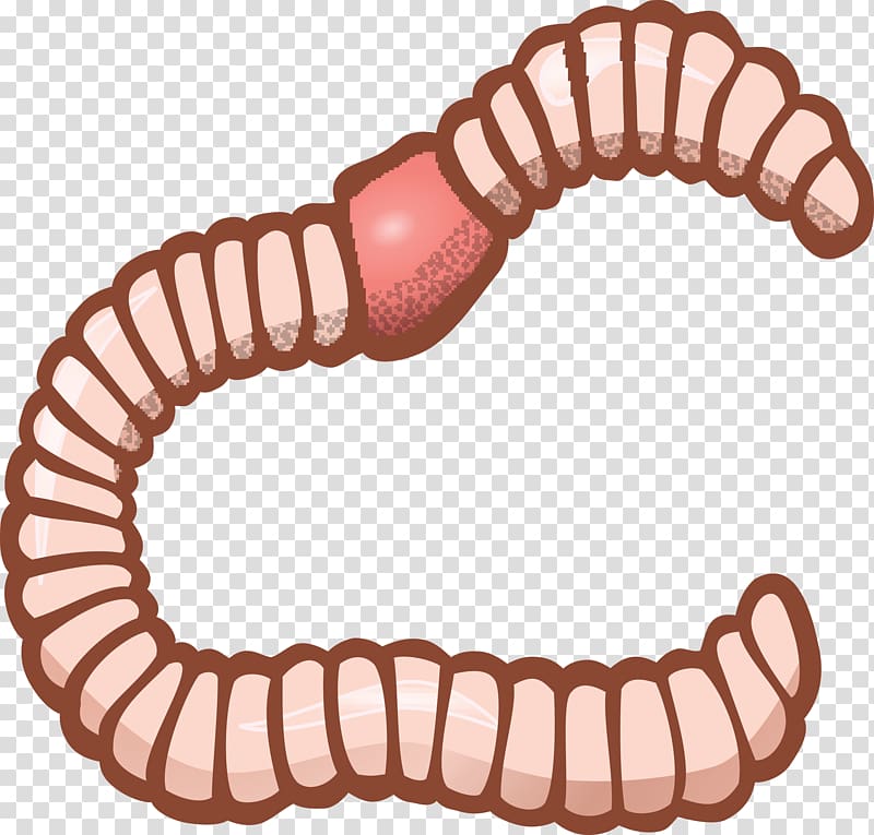 Earthworm , others transparent background PNG clipart