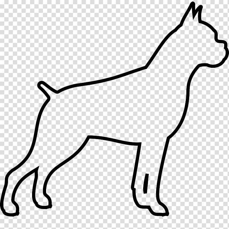 Dog breed Puppy Boxer Non-sporting group Border Collie, puppy transparent background PNG clipart