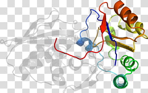 Line Point , line transparent background PNG clipart thumbnail