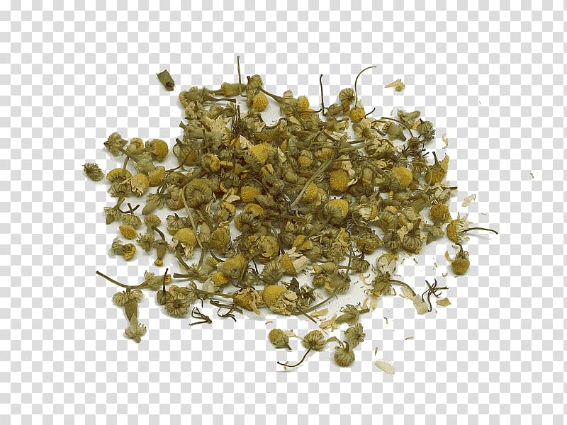 White tea Biluochun Roman chamomile Infusion, tea transparent background PNG clipart
