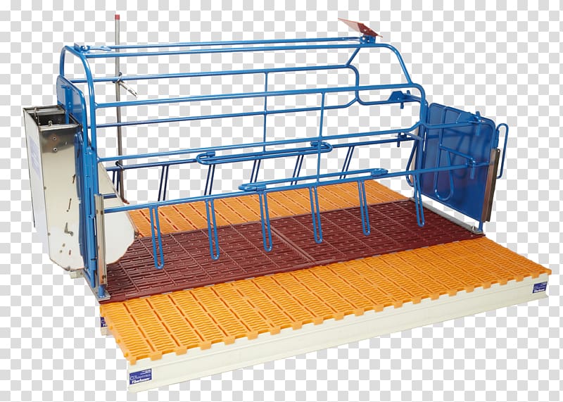 Domestic pig Gestation crate Pig farming, pig transparent background PNG clipart