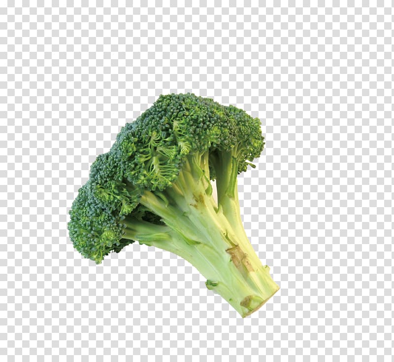 Broccolini Romanesco broccoli Cauliflower, broccoli transparent background PNG clipart