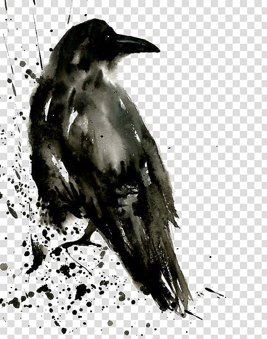 black crow painting, Common raven Watercolor painting Tattoo The Shining Isle, crow transparent background PNG clipart