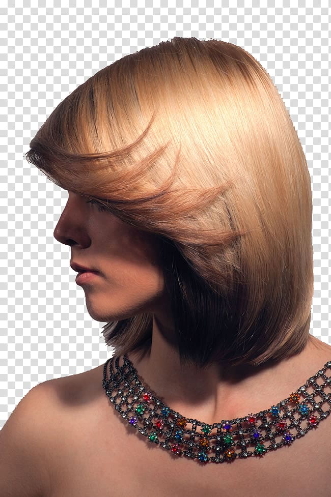 Hair coloring Hair care Human hair color Hairstyle, Sassoon hair fashion transparent background PNG clipart