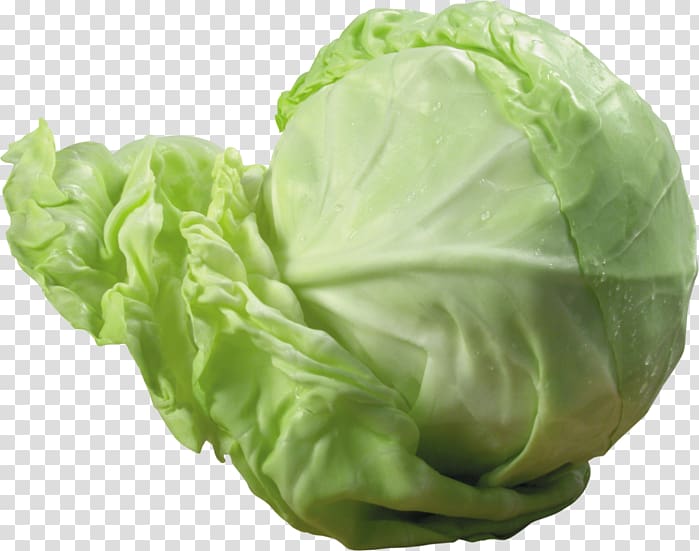 Savoy cabbage Vegetable Red cabbage, cabbage transparent background PNG clipart