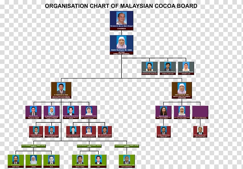 Brand Product design Organization Pattern Font, Board of Directors Chart transparent background PNG clipart