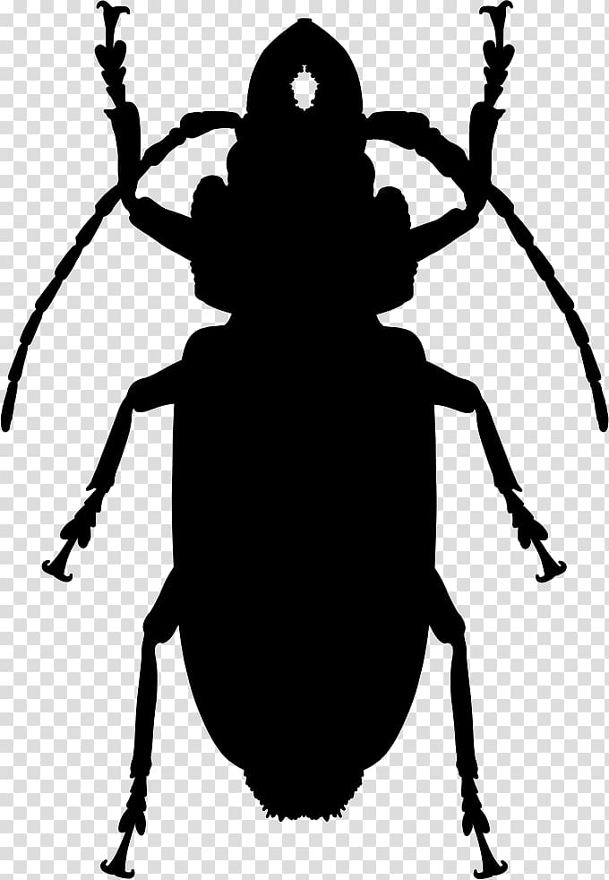 Cockroach Insect Computer Icons, cockroach transparent background PNG clipart