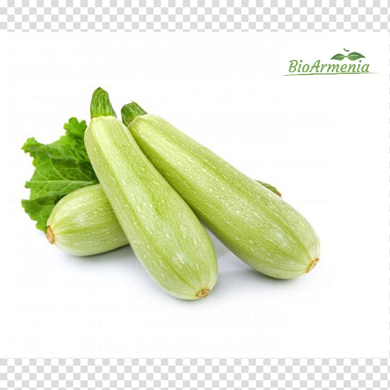 Cucurbita pepo Summer squash Zucchini Vegetable, vegetable transparent background PNG clipart