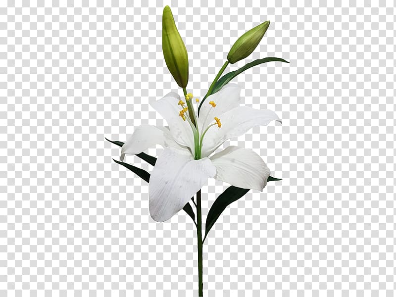 Cut flowers Artificial flower Lilium candidum Garland, flower transparent background PNG clipart