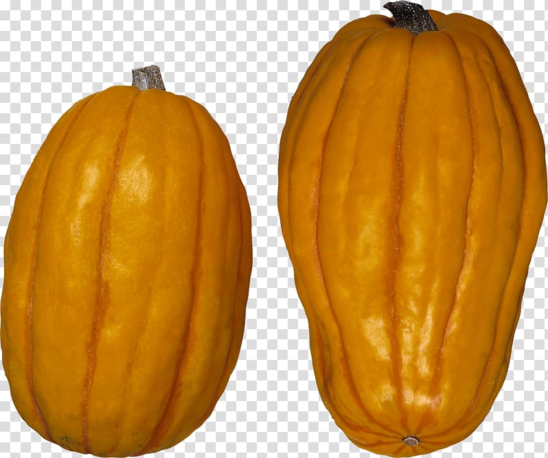 Calabaza Zucchini Squash soup Winter squash Delicata squash, Strange pumpkin transparent background PNG clipart