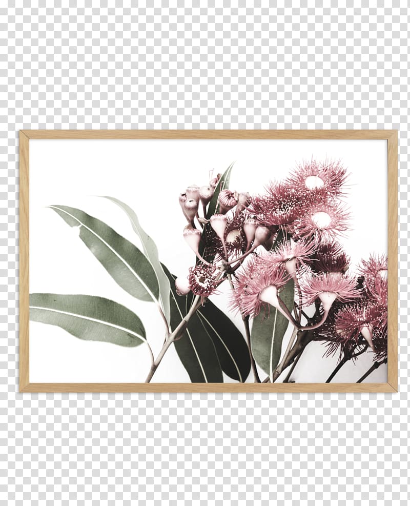 Gum trees Art Floral design Poster, design transparent background PNG clipart