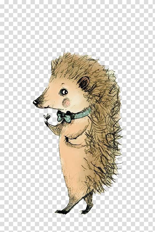 Hedgehog Koala Horse Animal Art, Hedgehog transparent background PNG clipart