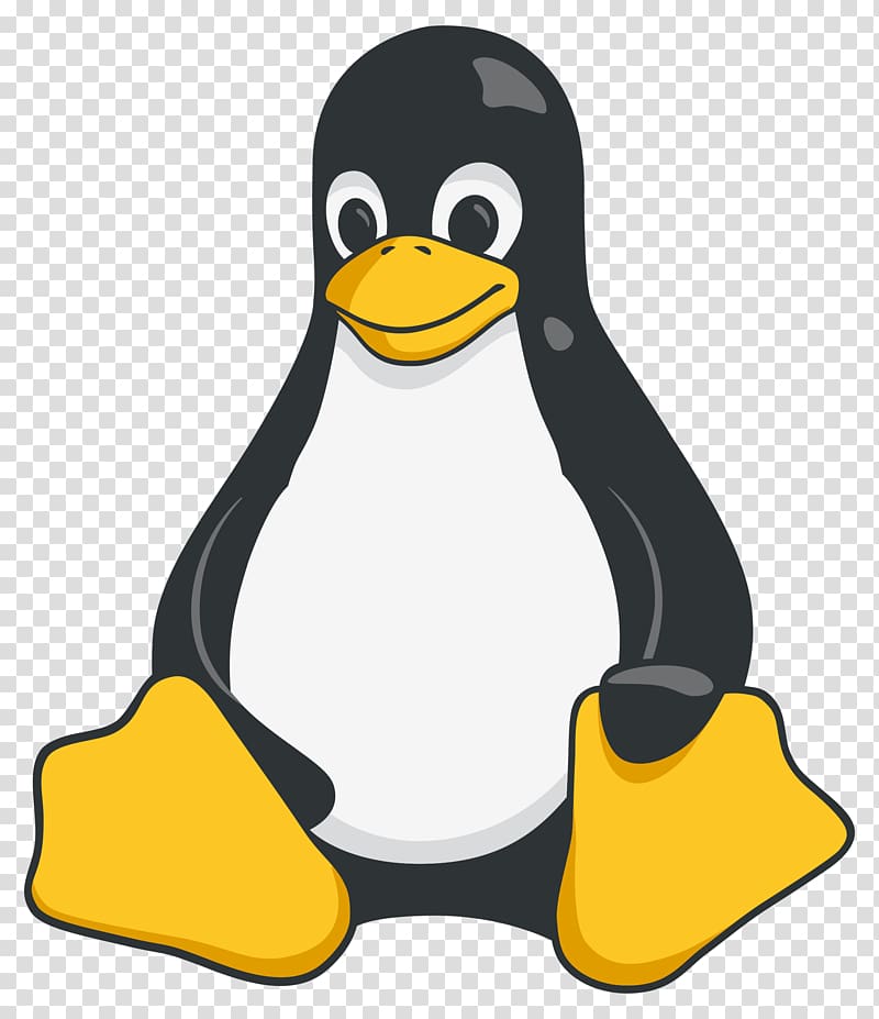 Tux Racer Red Hat Enterprise Linux, donald transparent background PNG clipart