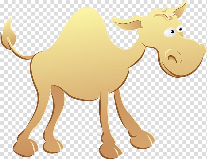 Dromedary Bactrian camel , Cartoon hand painted camel transparent background PNG clipart