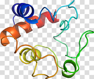 Body Jewellery , Jewellery transparent background PNG clipart thumbnail